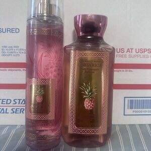 Bath and Body Works Costa Rica Pink Pineapple & body wash set